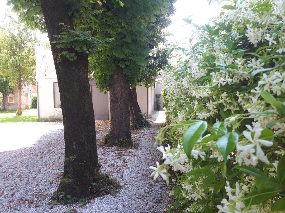 Villa Fiorentino Padua Exterior foto